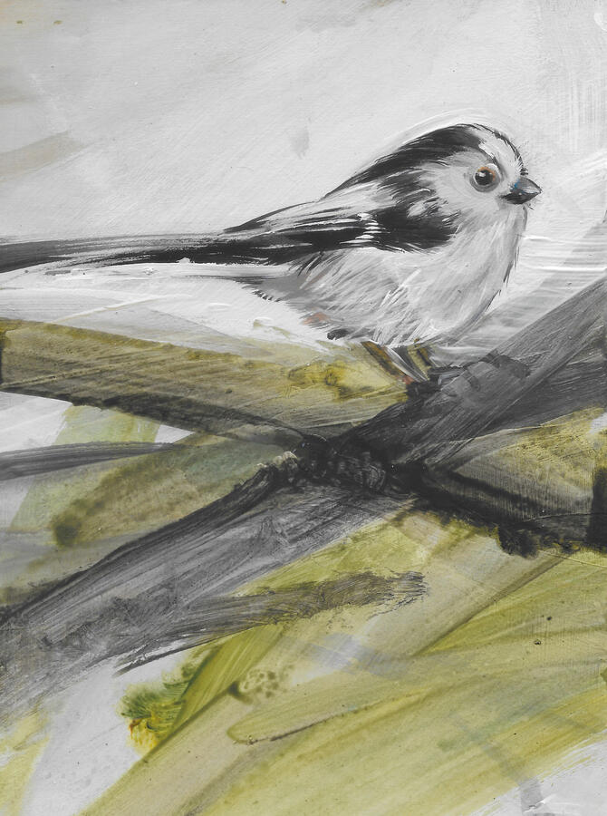 Long tailed Tit / Acrylic on board / framed 24cm x 19cm /£145
