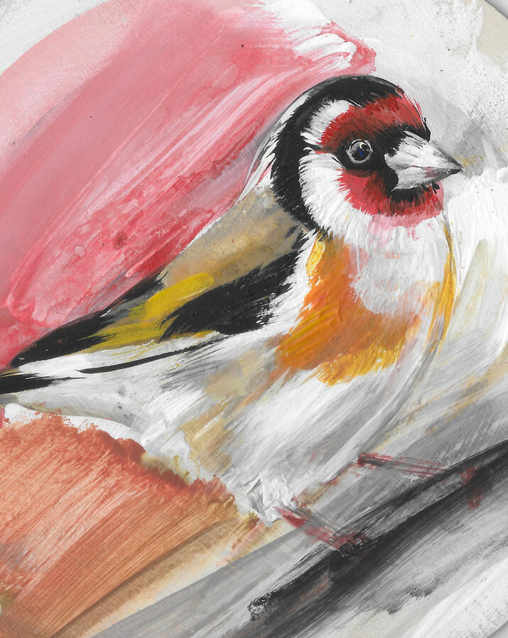 Goldfinch