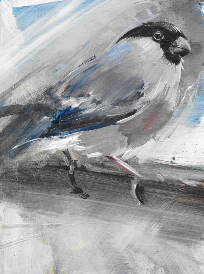 Female Bullfinch / SOLD