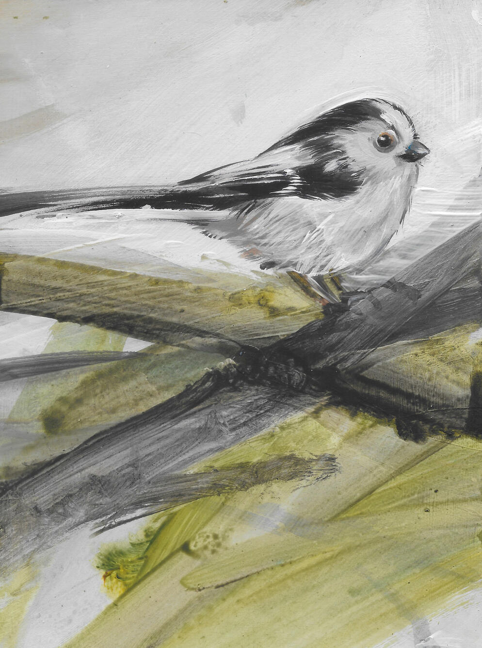 Long tailed Tit Acrylic on board (framed) 24cm x 19cm Available