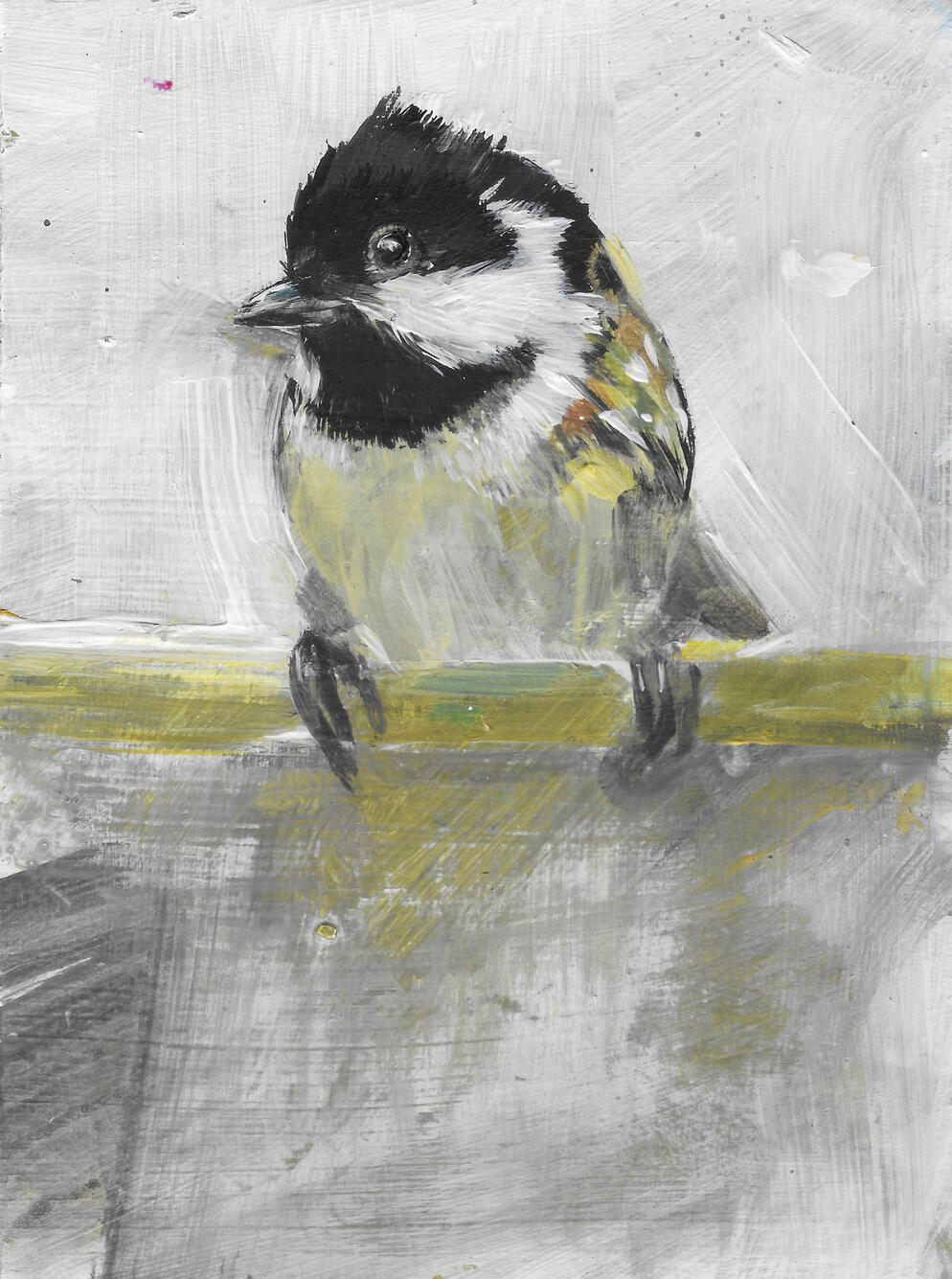 Coal Tit Acrylic on board (framed 24cm x 19cm) £145