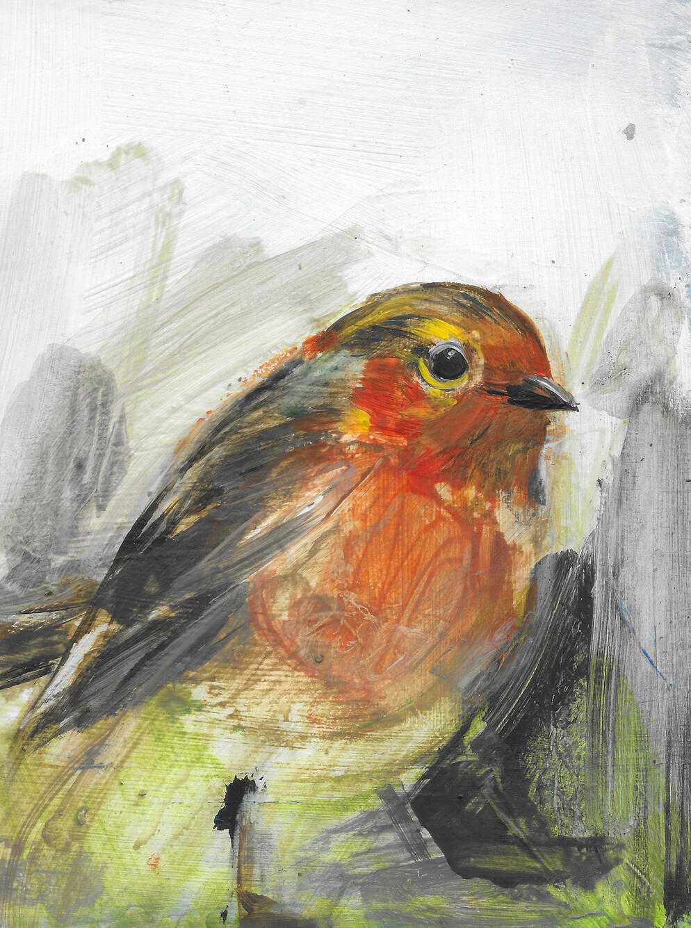 Red Robin Acrylic on board (framed) 24cm x 19cm Available