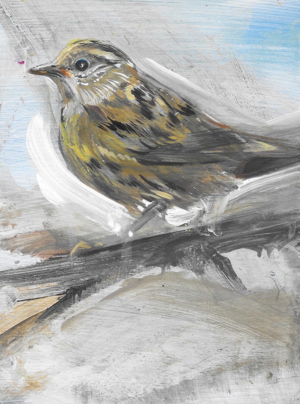 Dunnock Acrylic on board (framed) 24cm x19cm Available