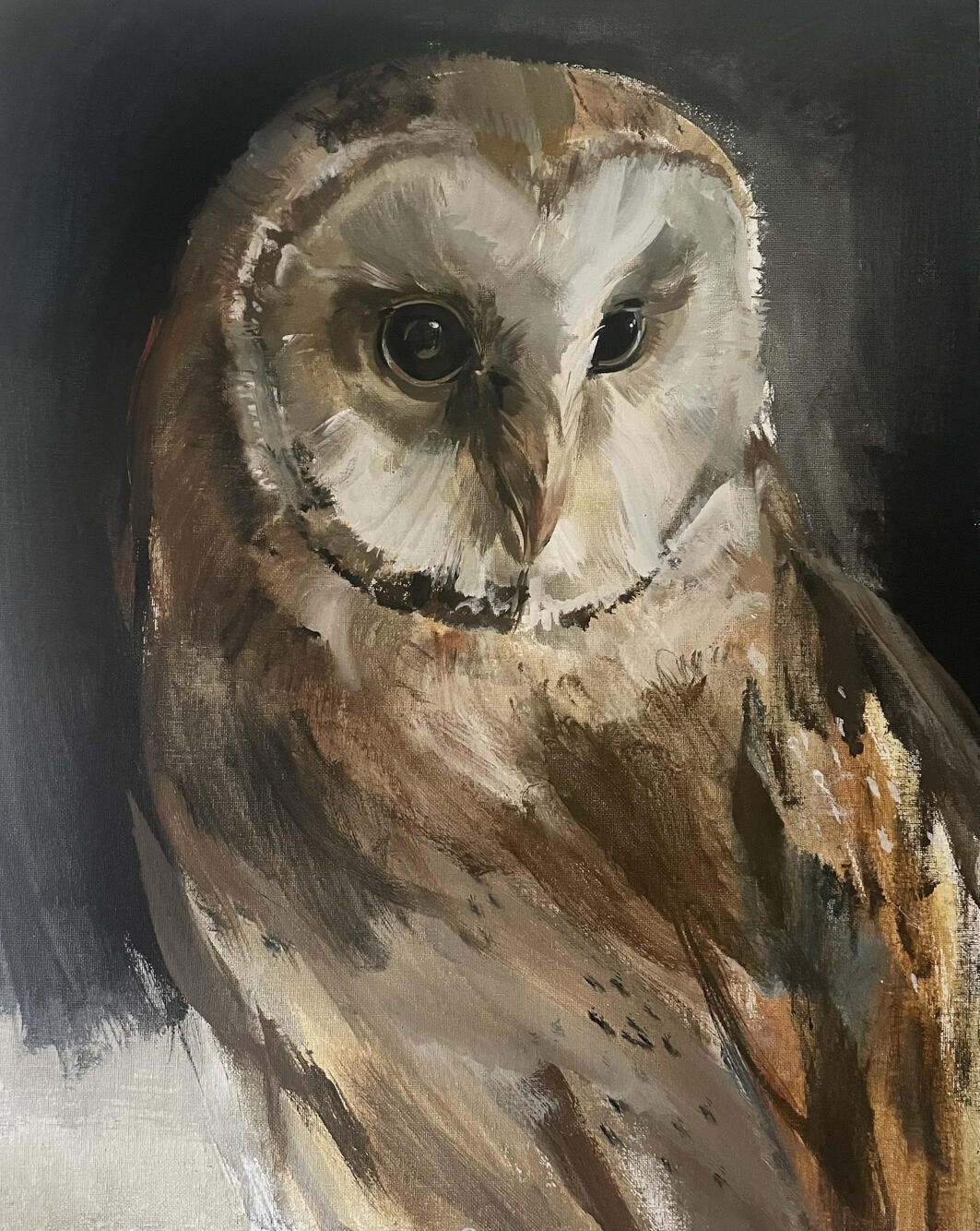 Barn Owl Acrylic on board ( framed ) 47cm x 54cm Available