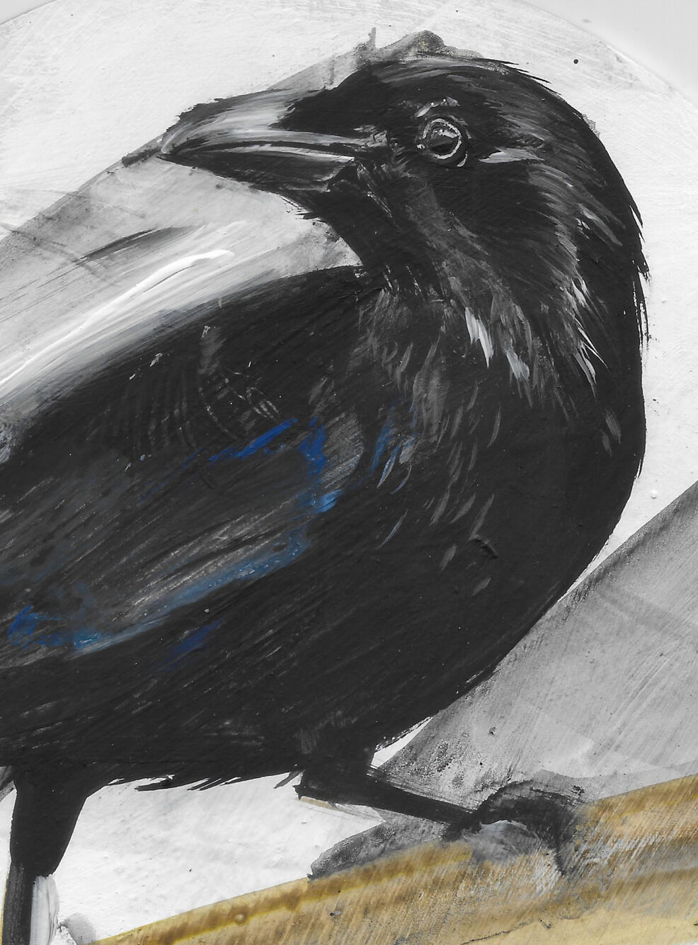 Carrion crow Acrylic on board (circular - 8 inch frame) Available