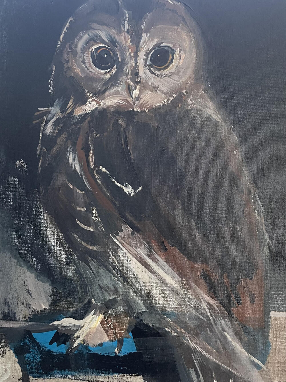 Tawny owl Acrylic on board (framed) 36cm x 44cm SOLD