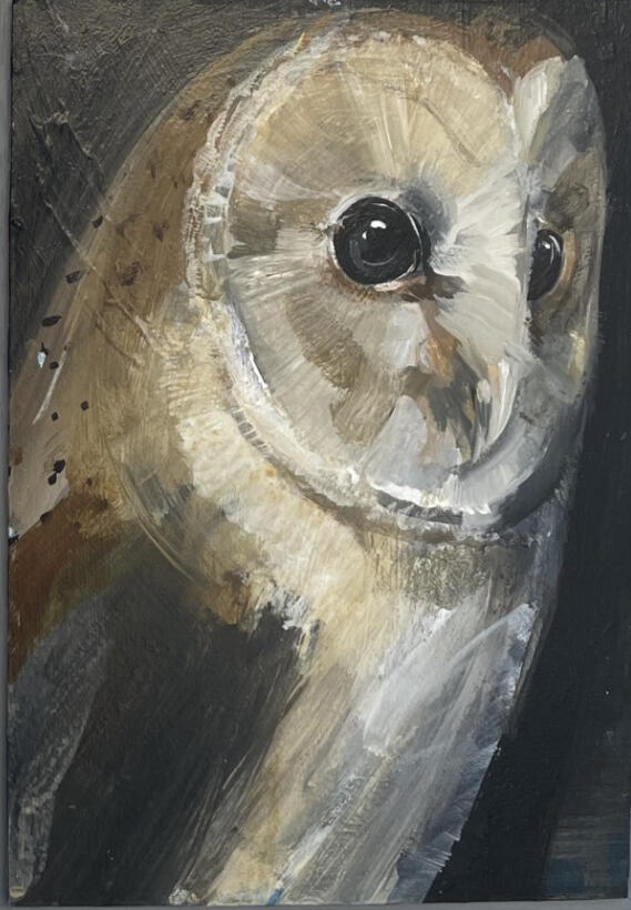 Barn Owl SOLD