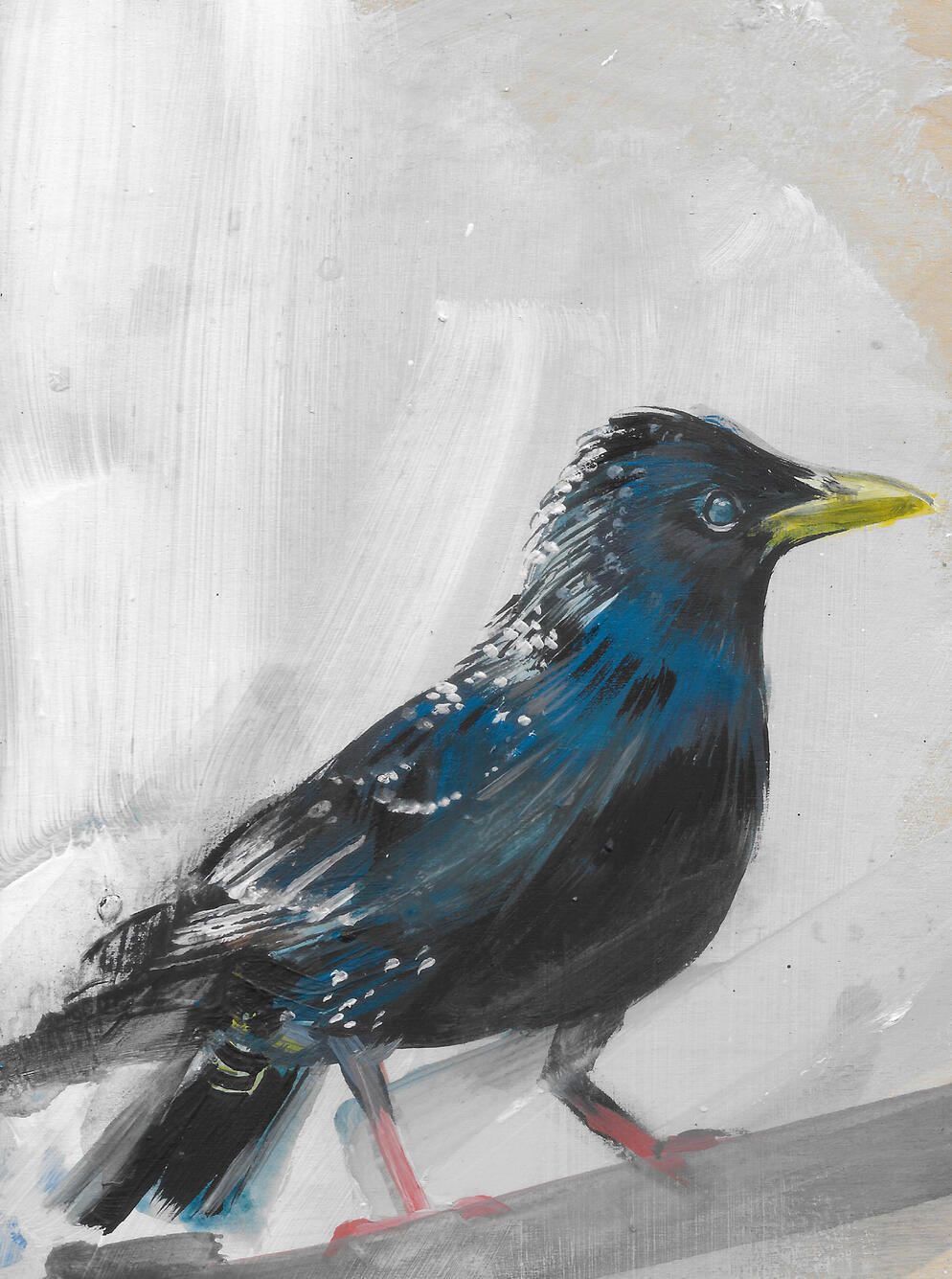 Starling SOLD