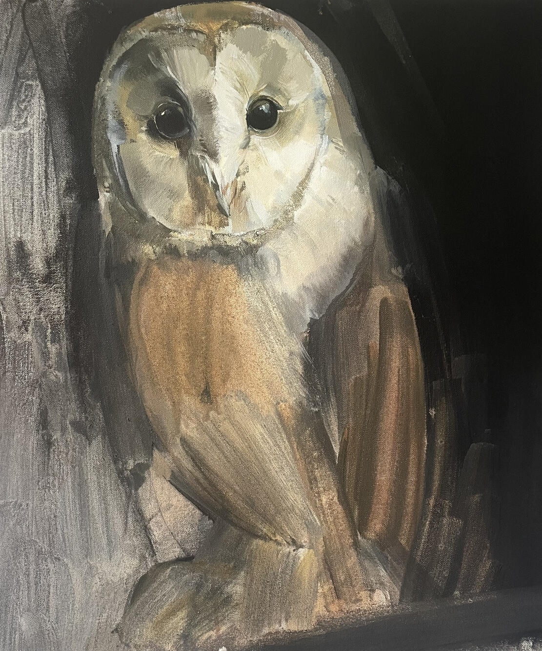 Barn Owl study Arylic on canvas ( framed ) 66cm x 55cm Available