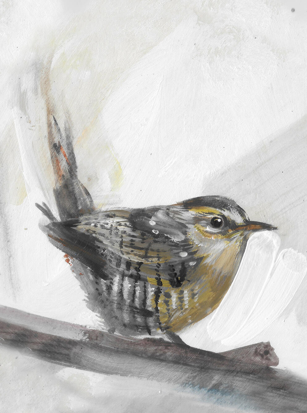 Wren Acrylic on board (circular 8 inch frame) £145