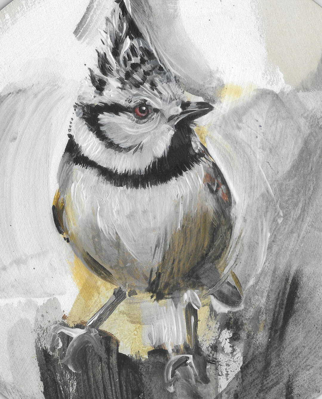 Crested Tit Acrylic on board (Circular frame - 8 inch) Available